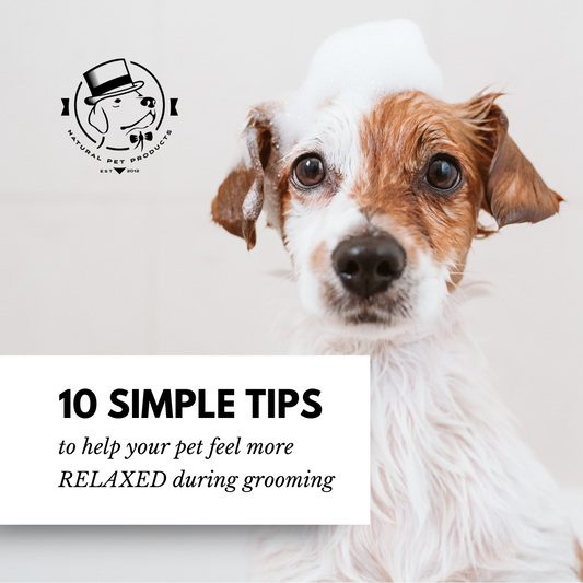 10 Simple Tips To Help Your Pet Relax During Grooming